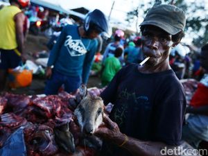 Pasar Gelap Merauke Ramai Jual Beli Kanguru Papua