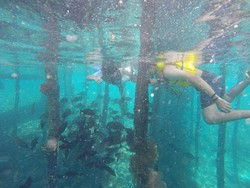 8 Tips dan Aturan Snorkeling