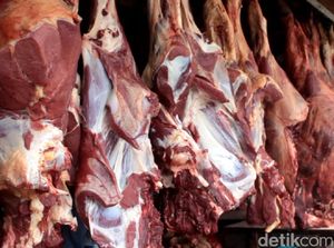 Bulog Dapat Tugas Impor Daging Sapi Brasil Tahun Depan Bulog Dapat Tugas Impor Daging Sapi Brasil Tahun Depan