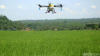 Petani Purbalingga Manfaatkan Drone untuk Proses Pemupukan