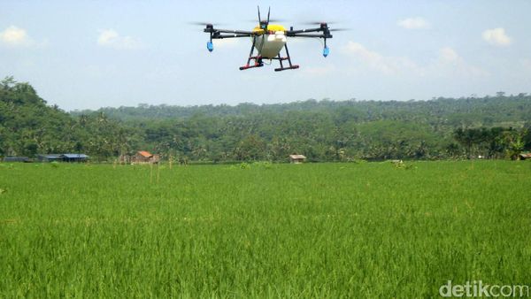 Petani Purbalingga Manfaatkan Drone untuk Proses Pemupukan