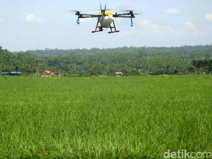 Petani Purbalingga Manfaatkan Drone untuk Proses Pemupukan