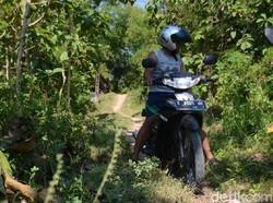 Ini Cerita Sopir yang Tersesat di Blora