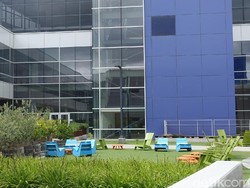 Cerita Jadi Karyawan Google Ini Berpotensi Bikin Iri