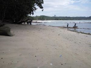 15 Wisata Cilacap yang Sayang Dilewatkan Saat Lewat Pansela!