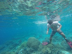 Kisah Sedih dari Raja Ampat