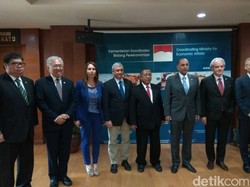 Darmin Bakal Perjuangkan Sawit RI Sampai Diterima Uni Eropa