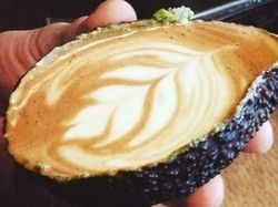 Asyiknya Menyeruput Avolatte, Cafe Latte dalam Buah Alpukat