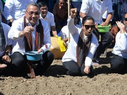 3 Menteri Jokowi Tanam Bawang Putih di Lombok