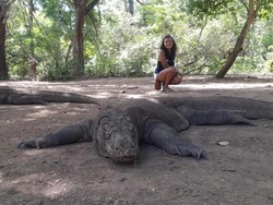 Bertemu Komodo Saat Long Weekend di NTT