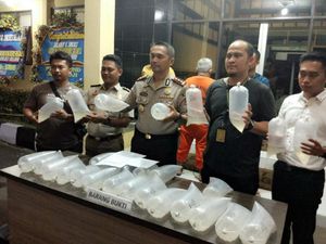Polisi Gerebek Gudang Penyimpanan Benih Lobster di Sukabumi Polisi Gerebek Gudang Penyimpanan Benih Lobster di Sukabumi