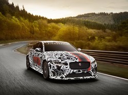 Si Kucing yang Paling Dahsyat dalam Sejarah Jaguar