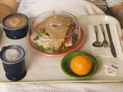 Rumah Sakit Khusus Veteran Ini Sajikan Kecoa di Dalam Makanan Pasien