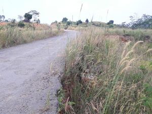 Jalur Puncak II Jadi Tempat Latihan Fisik Tentara Hingga Offroad
