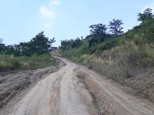 Warga Minta Pembangunan Jalur Puncak II Kembali Dilanjutkan