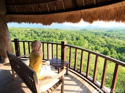 Rekomendasi Hutan di Bali yang Indah