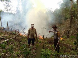 Bakar Lahan,  Warga Suku Talang Mamak di Riau Ditangkap Polisi