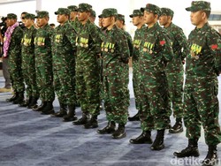 Tak Masalah TNI Terlibat Dalam Pembangunan Pertanian
