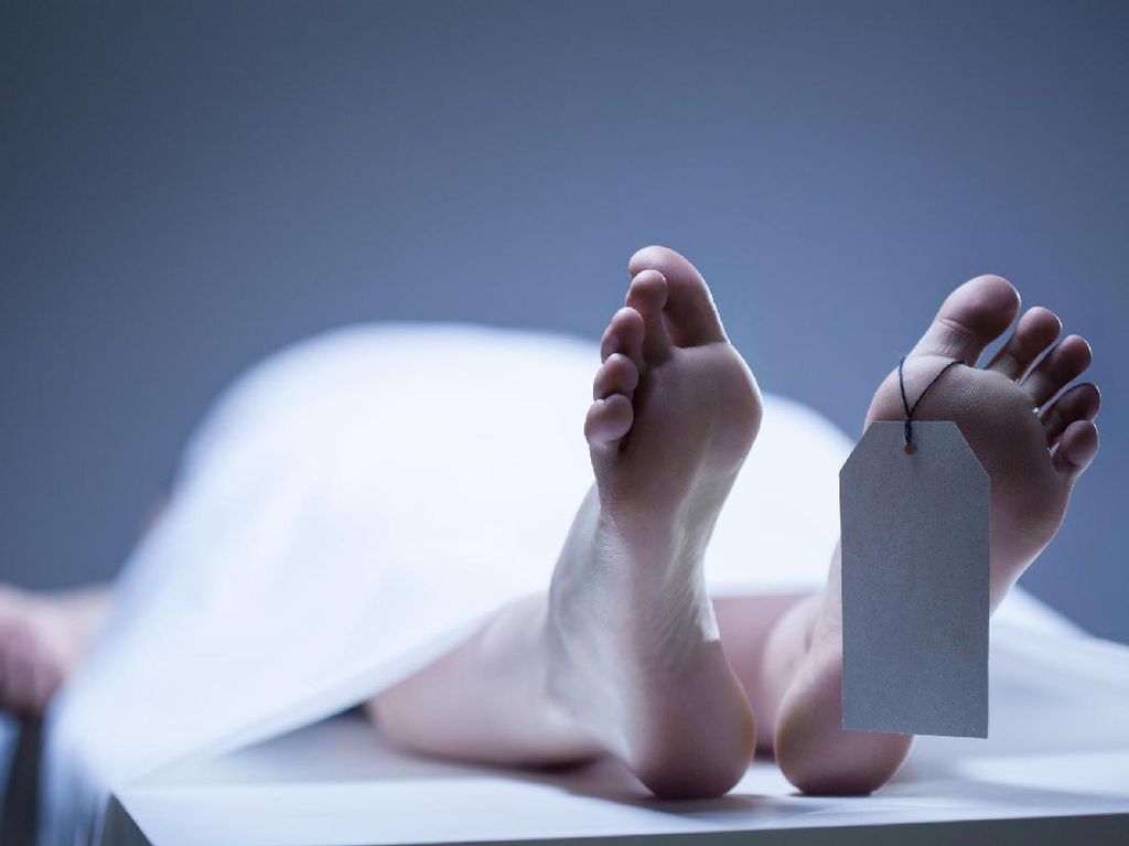 Mahasiswa UMY Ditemukan Meninggal di Kamar Kos gegara TBC, Ini Sorotan Kemenkes Mahasiswa UMY Ditemukan Meninggal di Kamar Kos gegara TBC, Ini Sorotan Kemenkes
