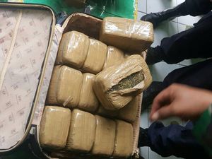 TNI Temukan 22 Kg Ganja Tak Bertuan di Pool Bus Medan