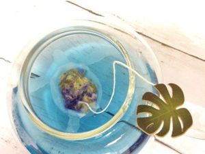 Lucunya Kantung Teh Bentuk Ikan Paus, Kura-kura hingga Teripang!