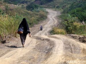 Kapan Proyek Jalur Puncak II Dilanjutkan? Kapan Proyek Jalur Puncak II Dilanjutkan?