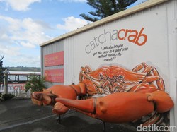 Mancing Kepiting di Australia, Greget Banget!