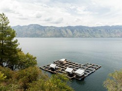 Danau Laut Air Tawar Takengon, Ini Danau Apa Laut?