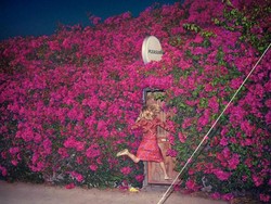 Pleasures Feist: Mentah tapi Mengejutkan