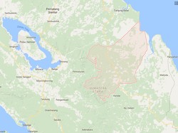 Terdengar Auman di Sekitar Lokasi Harimau yang Mati Dibunuh