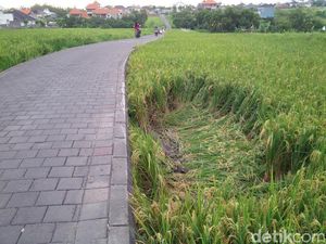 Jalan di Bali Ini Suka Bikin Mobil/Motor Terjungkal