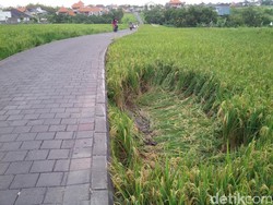 Jalan di Bali Ini Suka Bikin Mobil/Motor Terjungkal