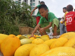 Timun Suri Bisa Redakan Hipertensi? Ini Kata Para Pakar Kesehatan