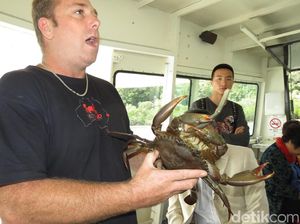 Wisata Unik di Australia: Mancing Kepiting! Wisata Unik di Australia: Mancing Kepiting!