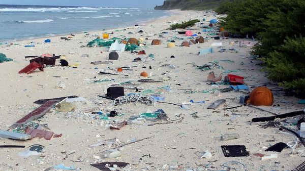 Pulau yang Jauh dari Mana-mana, Tapi Sampahnya dari Mana-mana