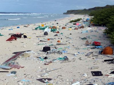 Pulau yang Jauh dari Mana-mana, Tapi Sampahnya dari Mana-mana