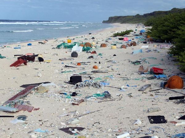 Pulau yang Jauh dari Mana-mana, Tapi Sampahnya dari Mana-mana