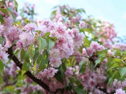 Keindahan Taman Herastrau di Rumania yang Bikin Terpana