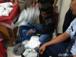 Penyelundupan Ribuan Benih Lobster dari Bandara Yogya Digagalkan Penyelundupan Ribuan Benih Lobster dari Bandara Yogya Digagalkan