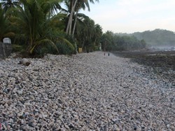 Pantai Unik di Pacitan, Isinya Batu Kerikil Besar-besar