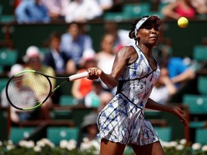 Venus Melaju Mulus, Kvitova Terhenti Venus Melaju Mulus, Kvitova Terhenti