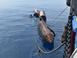 Ini Penampakan Rumpon yang Ditertibkan Susi di Perairan Bitung