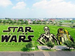 Sawah di Desa Terpencil Jepang Disulap Jadi Lukisan 3D Raksasa