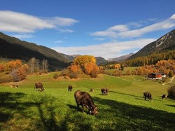 Wah Sombong Nih? Saking Indahnya, Desa Ini Tak Boleh Dipotret