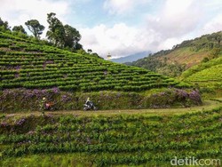 Suka Traveling Naik Motor, Brebes Punya Tempatnya