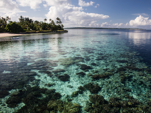 Buku Keindahan 7 Taman Nasional Laut Indonesia Telah Dirilis