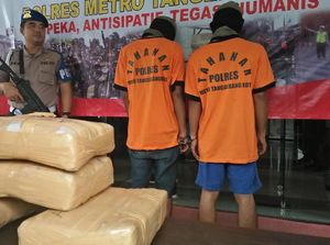 Simpan 6,5 Kg Ganja, 2 Pengedar di Tangerang Ditangkap Simpan 6,5 Kg Ganja, 2 Pengedar di Tangerang Ditangkap