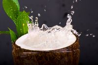 Minum Air Kelapa Saat Sahur dan Buka Bikin Tubuh Bugar Seharian