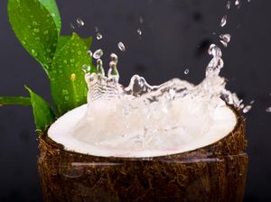 Manfaat Minum Air Kelapa untuk Ibu Hamil