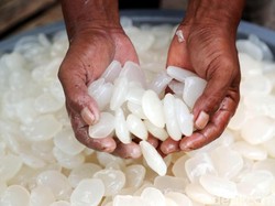 Begini Kata Ahli Gizi Soal Isu Kolang-kaling Berboraks